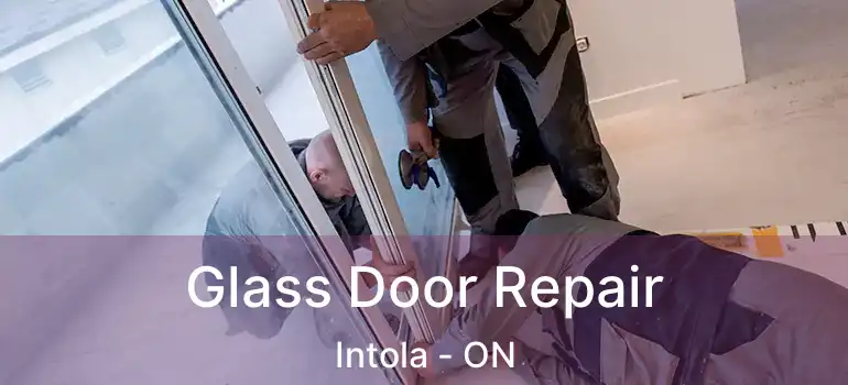  Glass Door Repair Intola - ON