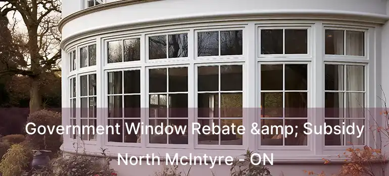  Government Window Rebate & Subsidy North McIntyre - ON