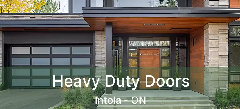  Heavy Duty Doors Intola - ON