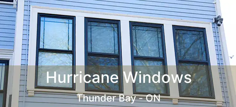  Hurricane Windows Thunder Bay - ON