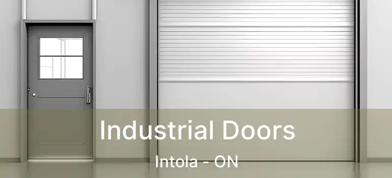  Industrial Doors Intola - ON