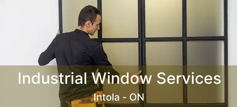  Industrial Window Services Intola - ON