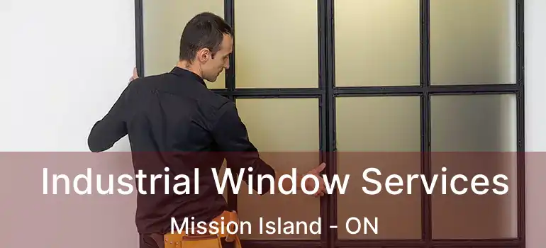  Industrial Window Services Mission Island - ON