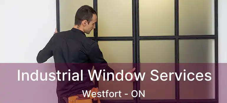  Industrial Window Services Westfort - ON