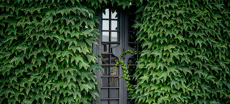 Garden Gate Repair in Northwood, ON