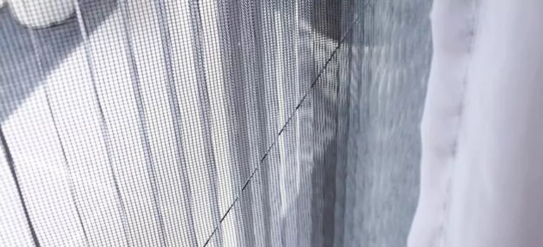 Fixing Screen Window Mesh in Thunder Bay, Ontario