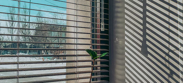 Commercial Window Blinds in Westfort, ON