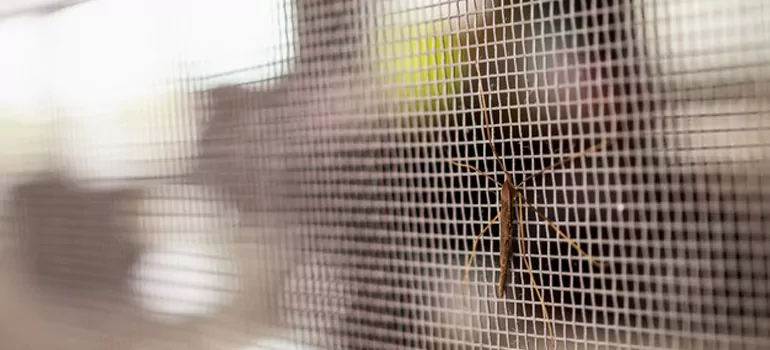 Repair Mosquito Mesh For Windows in Hillcrest Park, Ontario