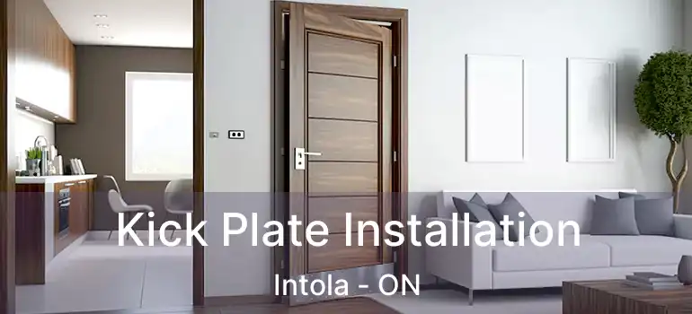  Kick Plate Installation Intola - ON