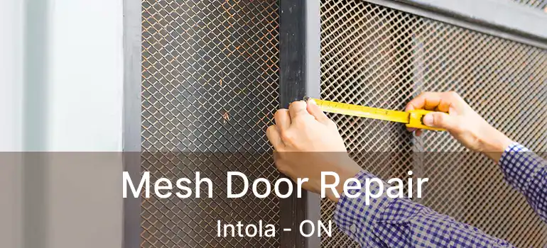  Mesh Door Repair Intola - ON