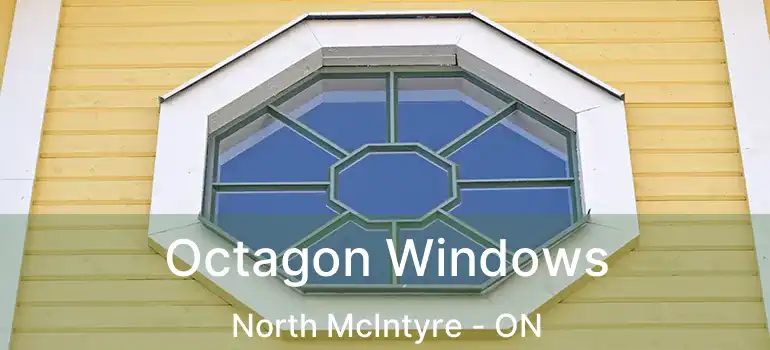  Octagon Windows North McIntyre - ON