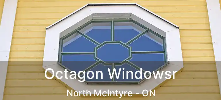  Octagon Windowsr North McIntyre - ON