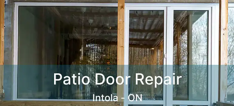  Patio Door Repair Intola - ON