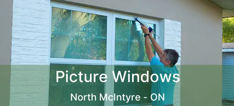  Picture Windows North McIntyre - ON