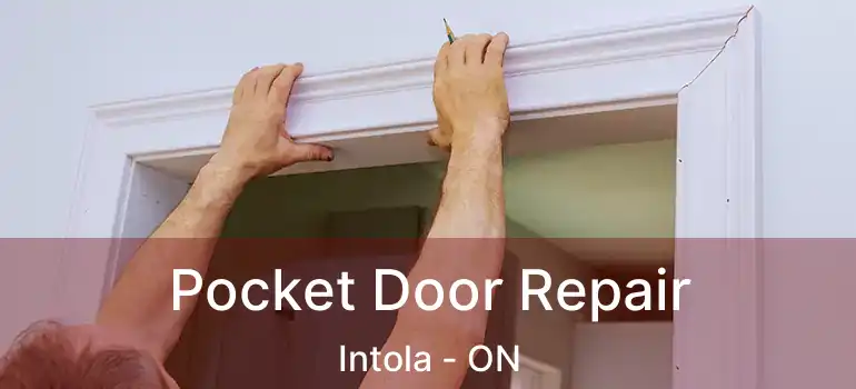  Pocket Door Repair Intola - ON