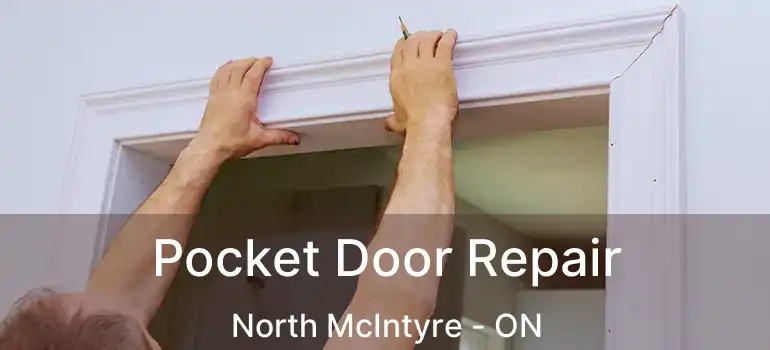  Pocket Door Repair North McIntyre - ON