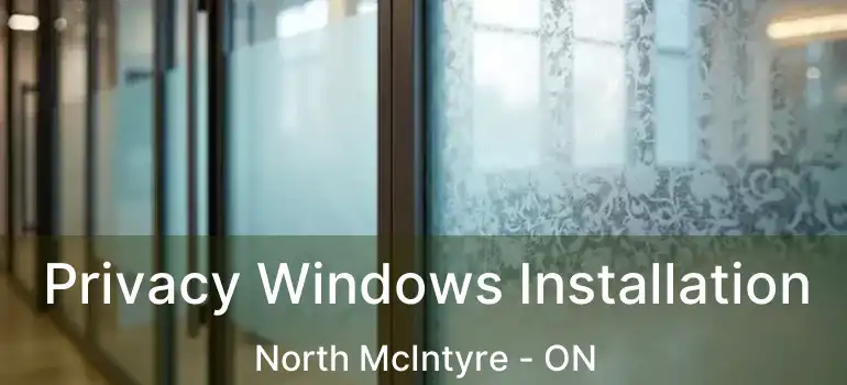  Privacy Windows Installation North McIntyre - ON