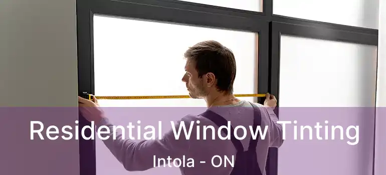  Residential Window Tinting Intola - ON