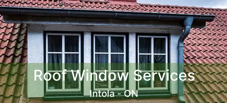  Roof Window Services Intola - ON