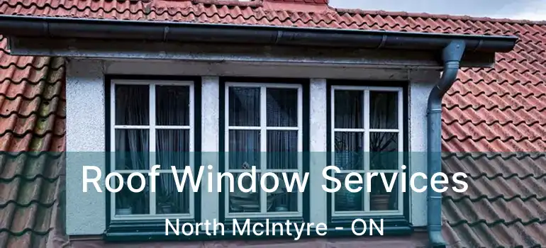  Roof Window Services North McIntyre - ON