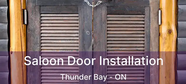  Saloon Door Installation Thunder Bay - ON