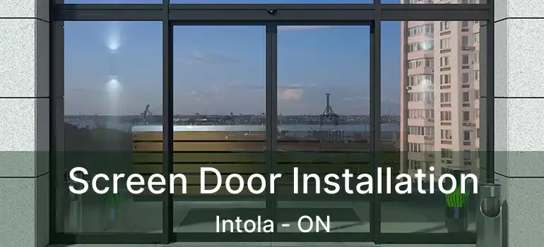  Screen Door Installation Intola - ON