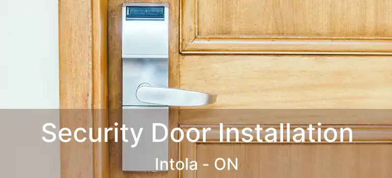  Security Door Installation Intola - ON