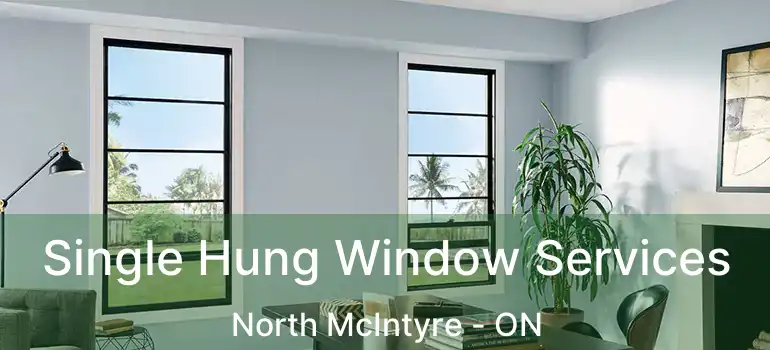  Single Hung Window Services North McIntyre - ON