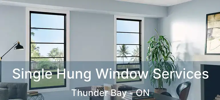  Single Hung Window Services Thunder Bay - ON