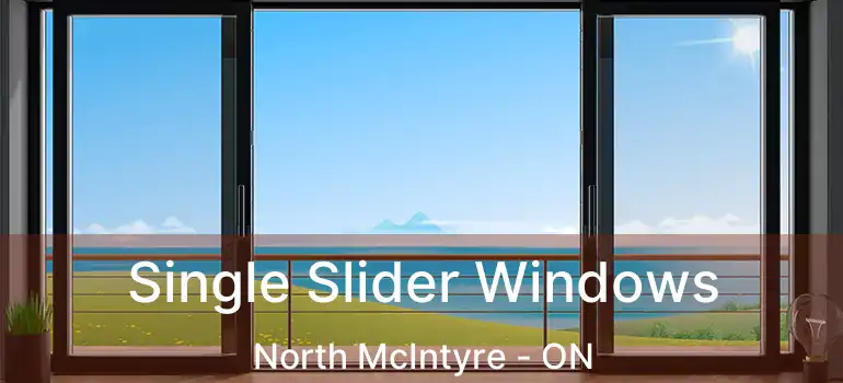  Single Slider Windows North McIntyre - ON