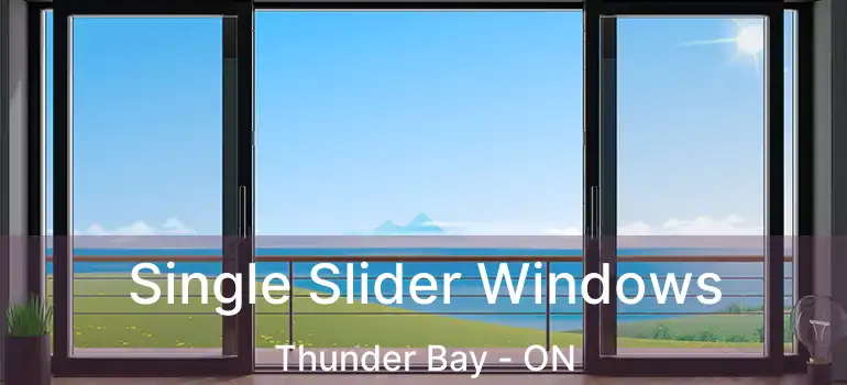  Single Slider Windows Thunder Bay - ON