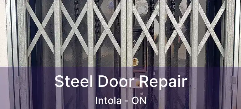  Steel Door Repair Intola - ON