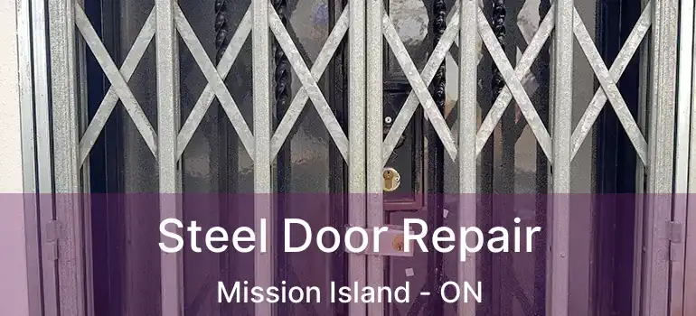  Steel Door Repair Mission Island - ON