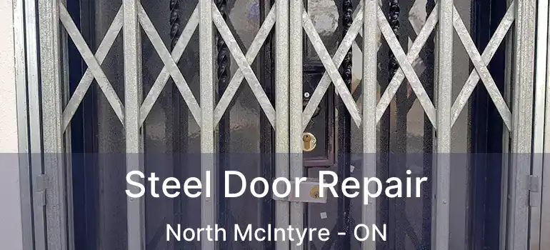  Steel Door Repair North McIntyre - ON