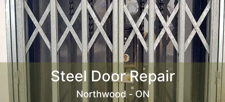  Steel Door Repair Northwood - ON