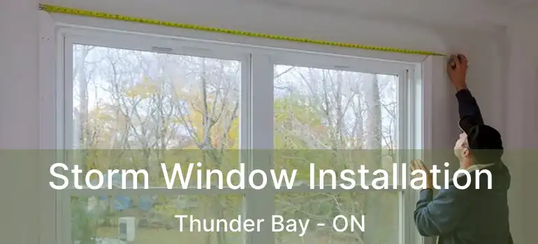  Storm Window Installation Thunder Bay - ON