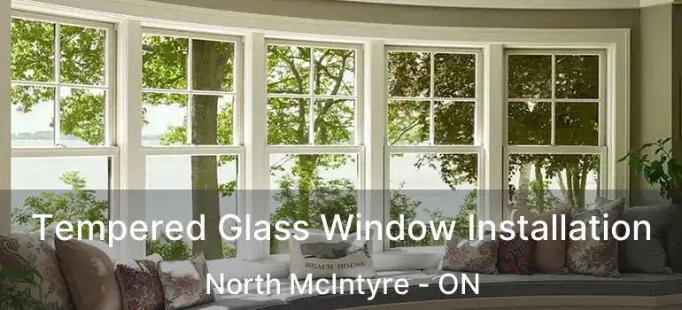  Tempered Glass Window Installation North McIntyre - ON