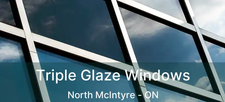  Triple Glaze Windows North McIntyre - ON