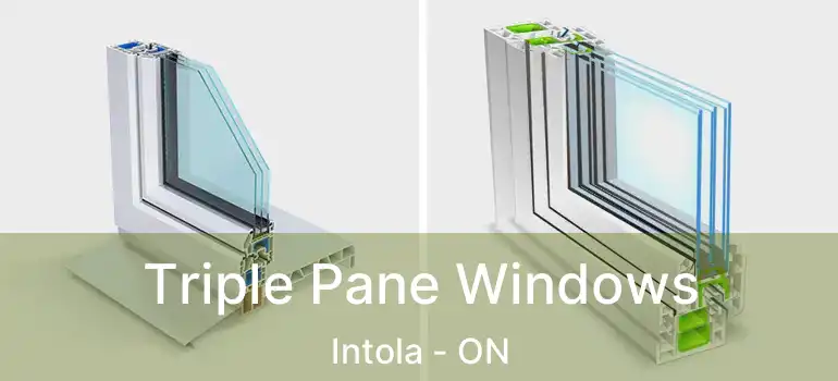  Triple Pane Windows Intola - ON