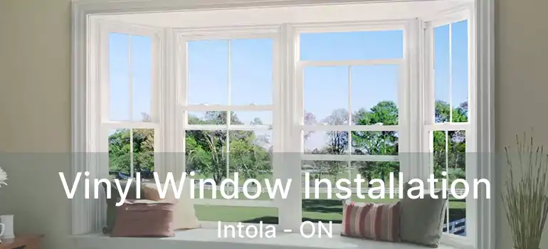  Vinyl Window Installation Intola - ON