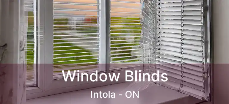  Window Blinds Intola - ON