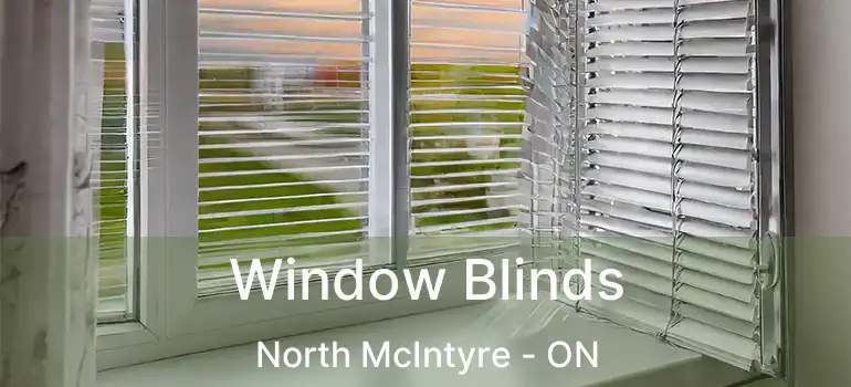  Window Blinds North McIntyre - ON