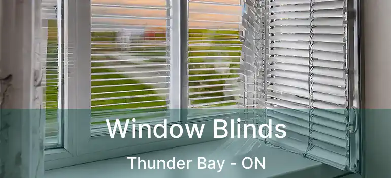  Window Blinds Thunder Bay - ON