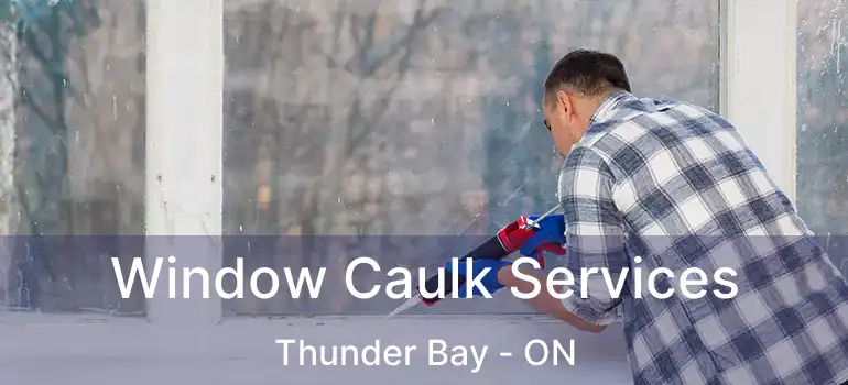  Window Caulk Services Thunder Bay - ON