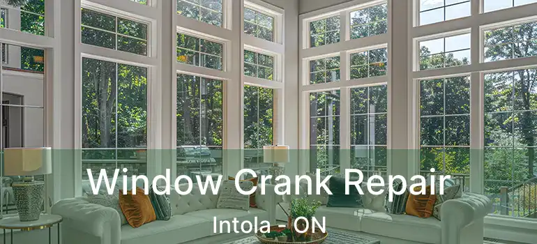  Window Crank Repair Intola - ON