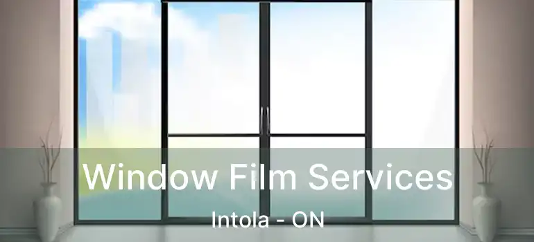  Window Film Services Intola - ON