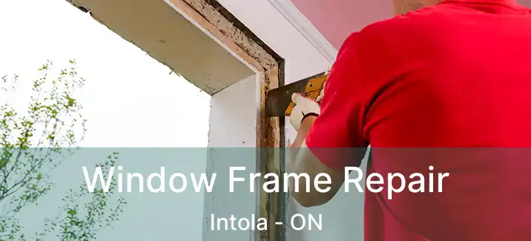  Window Frame Repair Intola - ON