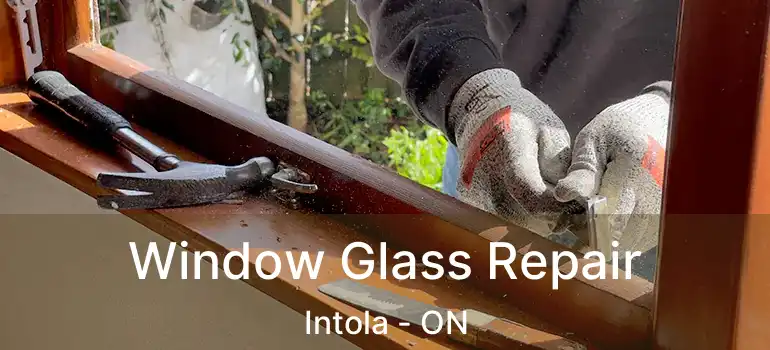  Window Glass Repair Intola - ON