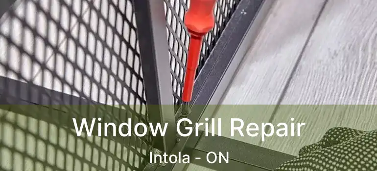  Window Grill Repair Intola - ON