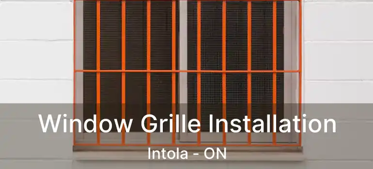  Window Grille Installation Intola - ON